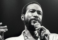 The Isolated Vocals of Marvin Gaye’s “I Heard it Through the Grapevine”