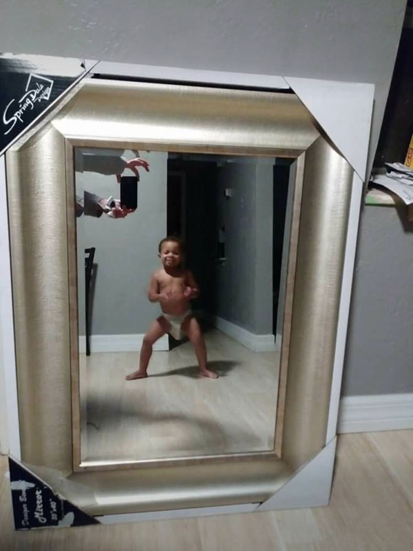 21 Pictures Of People Trying To Take Photos Of Mirrors Theyre Selling Twistedsifter 