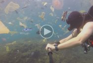 Guy Goes Scuba Diving in Bali to See Jellyfish, Gets Trash Instead