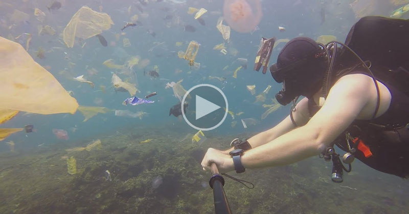Guy Goes Scuba Diving in Bali to See Jellyfish, Gets Trash Instead