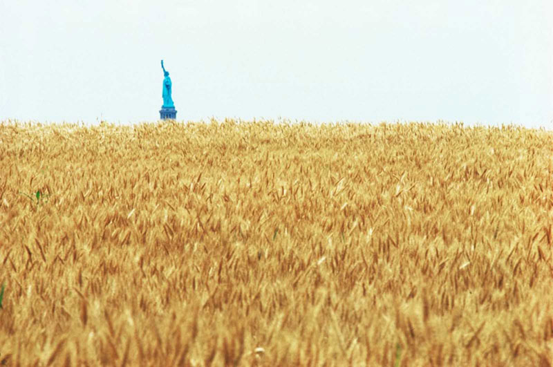 wheatfield by agnes denes 10 In 1982, An Artist Harvested Two Acres of Wheat on Land Worth $4.5 Billion