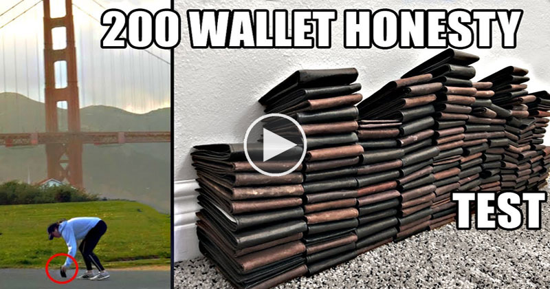 Dropping 200 Wallets Across America Produced Some Surprising Results