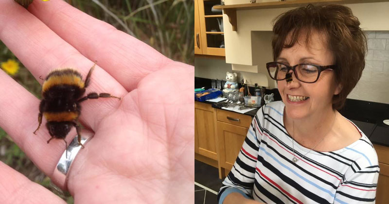 Woman Rescues Wingless Queen Bee; Builds Her a Tiny Garden to Live Out Final Days