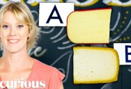 Cheese Expert Guesses Cheap vs Expensive Cheeses