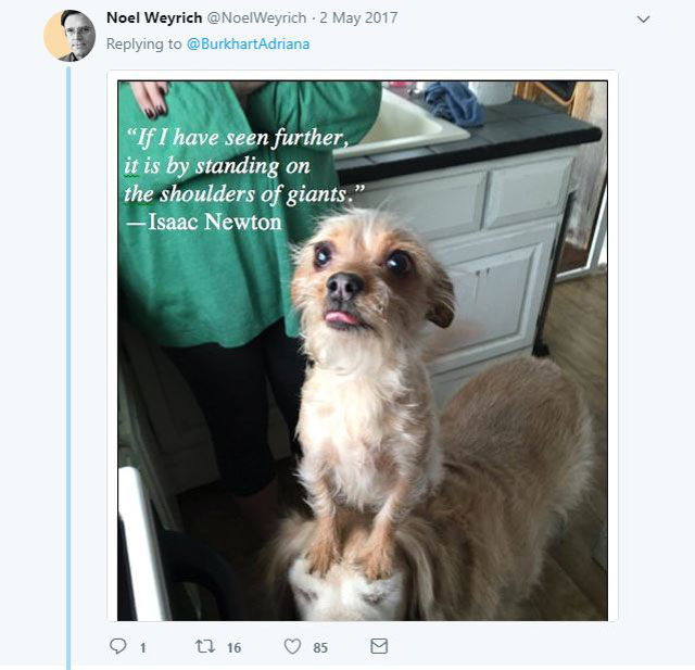 dog standing on dog begging for food 1 A Simple Tweet About Two Dogs Unfolded Into a Beautiful Twitter Story