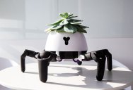 Guy Gives Plant Robotic Legs So It Can Experience Animal-Like Freedom