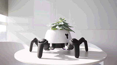 guy gives plant robotic legs so it can experience animal like freedom 2 Guy Gives Plant Robotic Legs So It Can Experience Animal Like Freedom