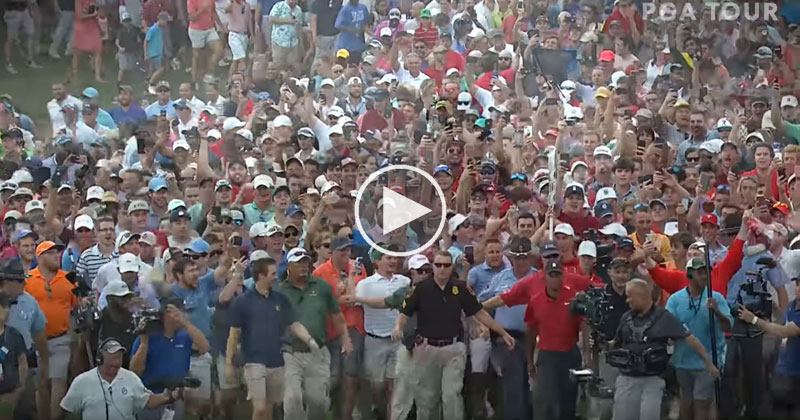 The Crowd Following Tiger Woods to the 18th Green Was Absolutely