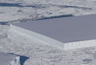 NASA Scientists Find Perfectly Rectangular Iceberg in Antarctica