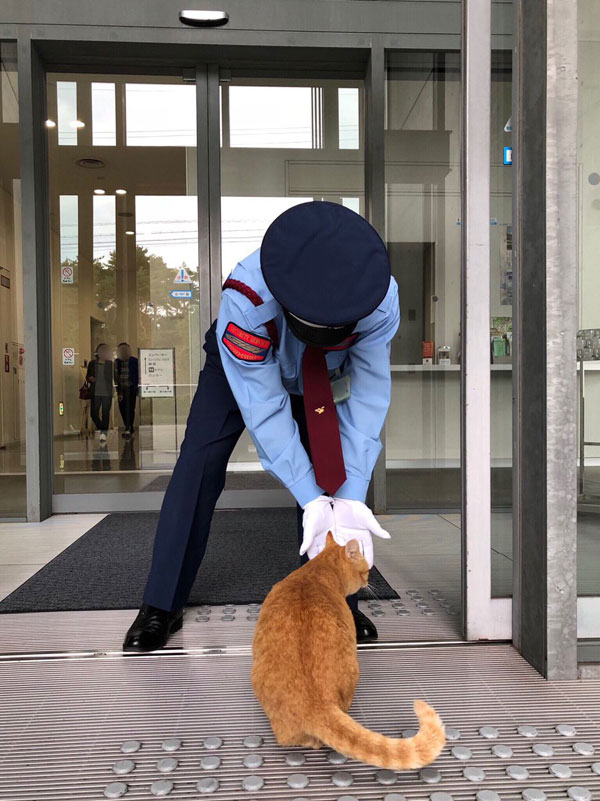 museum cats japan 15 Two Cats Have Been Trolling Museum Security for Over 2 Years Now