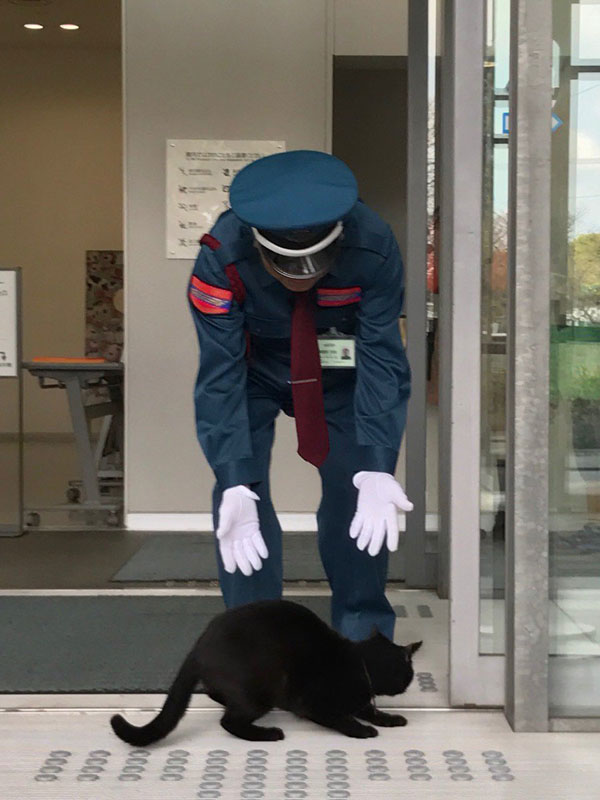 museum cats japan 2 Two Cats Have Been Trolling Museum Security for Over 2 Years Now