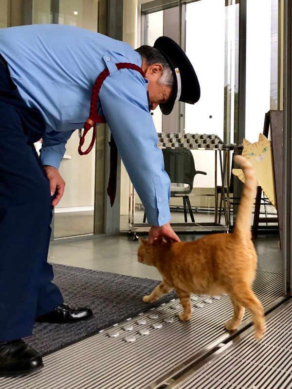 museum cats japan 9 Two Cats Have Been Trolling Museum Security for Over 2 Years Now