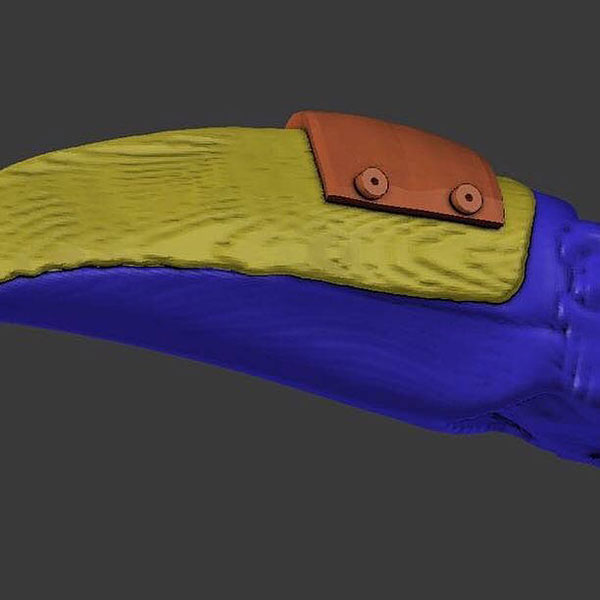 vet 3d prints new beak for injured toucan 5 Vet 3D Prints New Beak for Injured Toucan