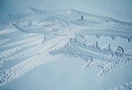 A Giant Direwolf in the Mountains Made from Snowshoe Prints
