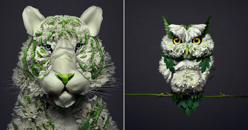 When Kingdoms Collide: Animal Portraits Made from Floral Arrangements