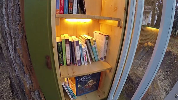 book tree library in old trunk sharalee armitage 8 Woman Forced to Remove Dying Tree, Turns It Into Tiny Library Instead