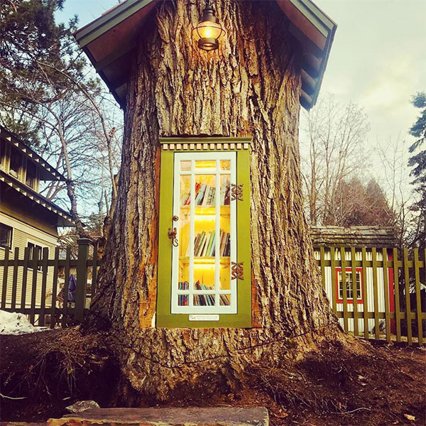 book tree library in old trunk sharalee armitage 9 Woman Forced to Remove Dying Tree, Turns It Into Tiny Library Instead