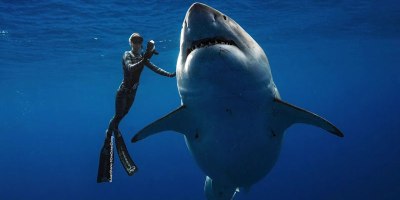 Ocean Ramsey Goes Freediving With World's Largest Known Great White