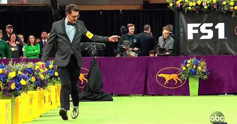 The 2019 Westminster Dog Show, Except There’s No Dogs