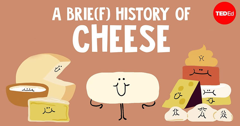 This Brie(f) History of Cheese by TED-Ed is a Must For Cheese Lovers!