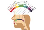 A Phonetic Map (English) of the Human Mouth