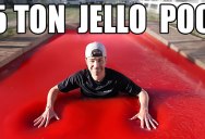 Bellyflopping Into a 15 Ton Jello Pool
