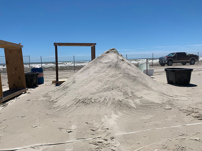 The Winning Sand Sculpture of the 2019 Texas Sand Sculpture Festival