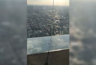 Chicago’s Famous Glass Floor SkyDeck Just Cracked Under Visitors’ Feet