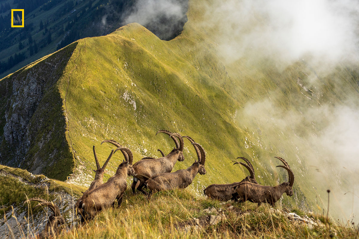 honorable mention nature The Amazing Winners of the 2019 National Geographic Travel Photo Contest