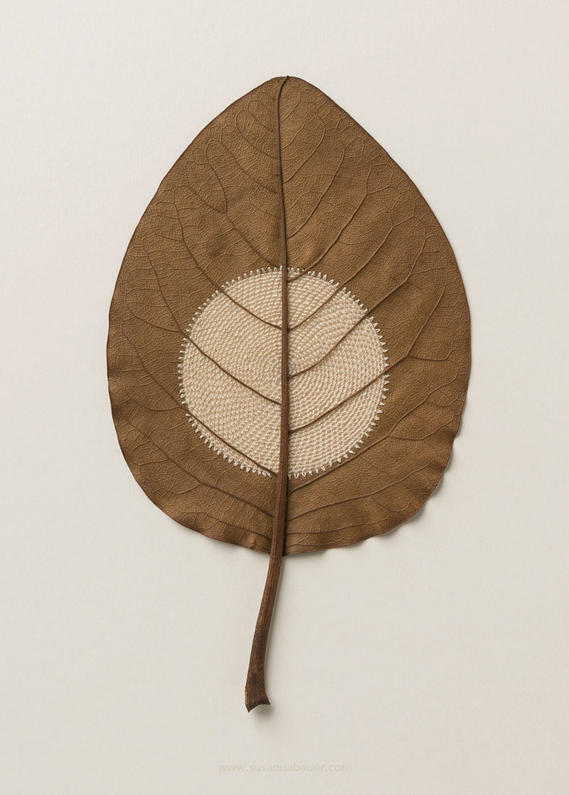 crochet leaves by susanna bauer 12 Artist Crochets New Life Into Fallen Leaves