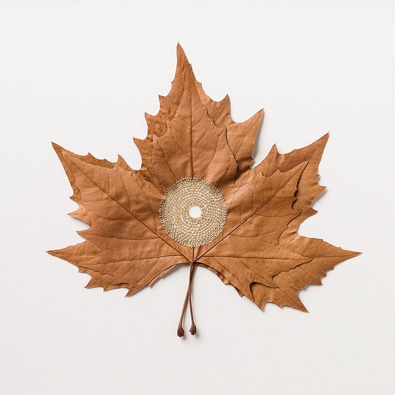 crochet leaves by susanna bauer 3 Artist Crochets New Life Into Fallen Leaves
