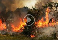 A Chilling Compilation of the Fires Currently Raging Across the Amazon
