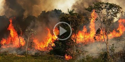 A Chilling Compilation of the Fires Currently Raging Across the Amazon