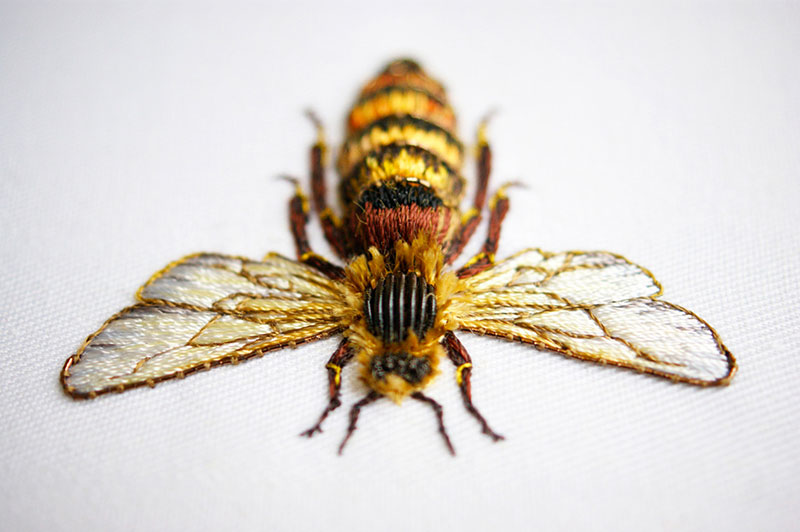 hand emroidered animals by laura baverstock 3 Stunning Animals Embroidered by Hand Using Colored and Metallic Thread