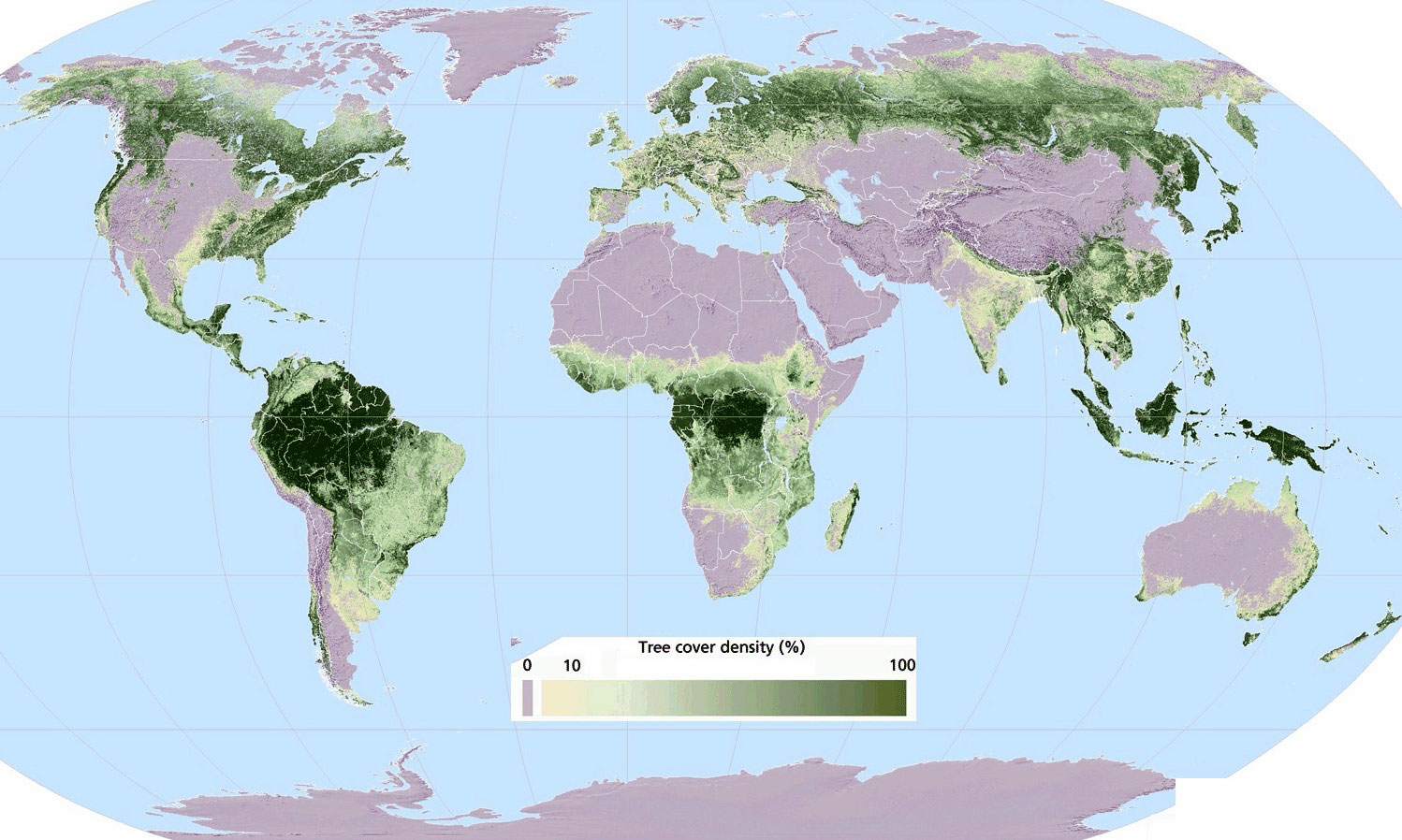 How Do Trees Spread at Elizabeth Werner blog