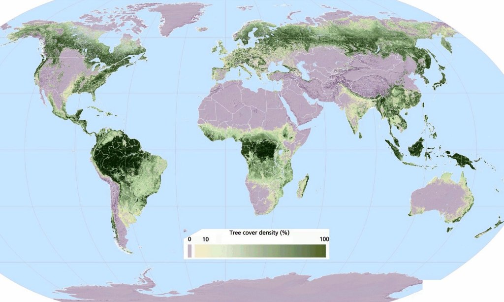 This Map of the World Shows Where Our Trees Grow