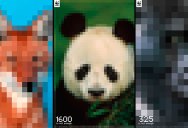 Populations of Endangered Species Depicted by the Number of Pixels