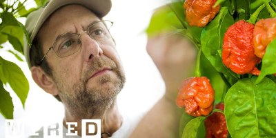 Meet the Farmer Behind the Carolina Reaper, the Hottest Pepper in the World