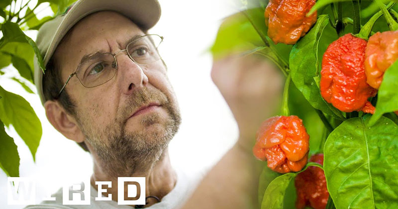 Meet the Farmer Behind the Carolina Reaper, the Hottest Pepper in the World