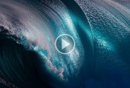 Nothing Captures the Raw Power and Beauty of Waves Like 4K Slow Motion