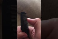 Now That It’s December, Here’s Jingle Bells Played on a Comb