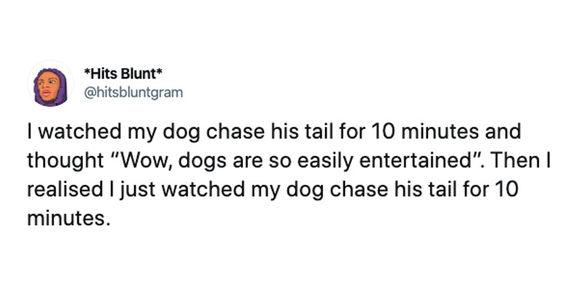 i watched my dog chase its tail tweet twitter The Shirk Report – Volume 560