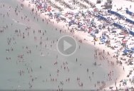 Just a Packed Beach in Florida Amid ‘Social Distancing’