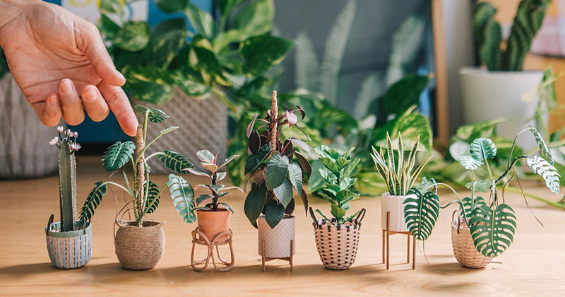 These Miniature Potted Plants Made from Paper are Just Adorable