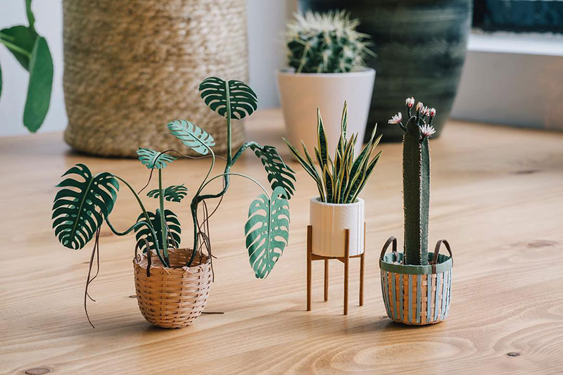 miniature paper potted plants by raya sader bujana 2 These Miniature Potted Plants Made from Paper are Just Adorable