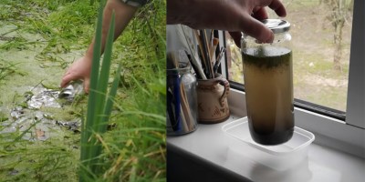 Amazing Stuff Happens When You Seal a Jar of Pond Water and Leave It by the Window