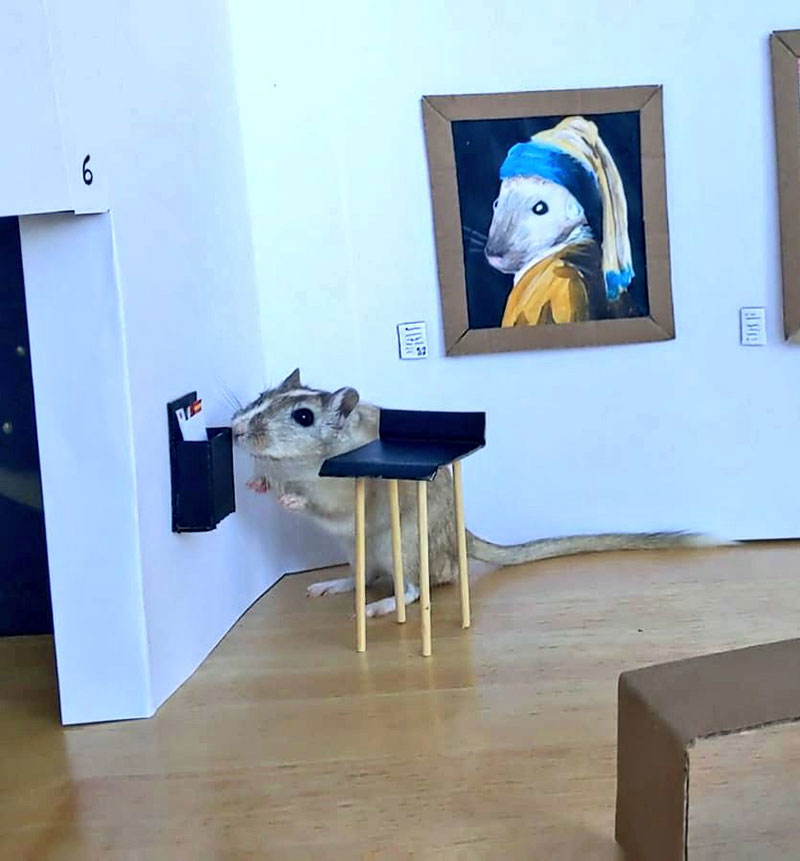 couple makes miniature art museum for their gerbils 3 This Couple Made a Miniature Art Museum for their Gerbils and its the Best