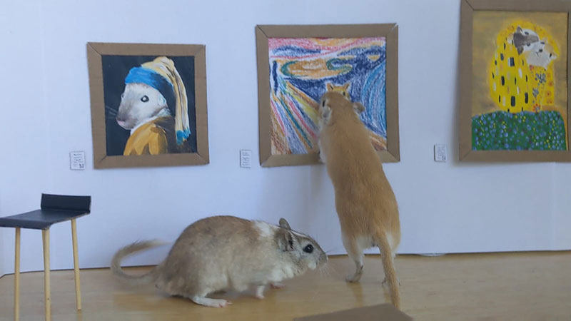 couple makes miniature art museum for their gerbils 4 This Couple Made a Miniature Art Museum for their Gerbils and its the Best