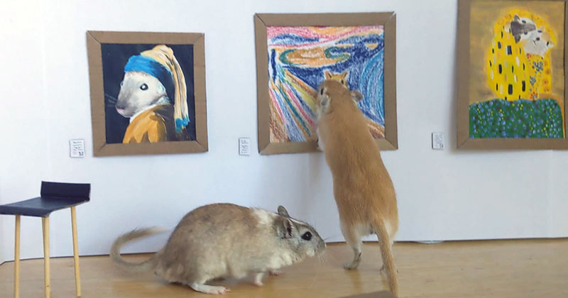 This Couple Made a Miniature Art Museum for their Gerbils and it’s the Best
