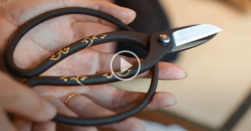 The Last Traditional Scissor Maker in Japan